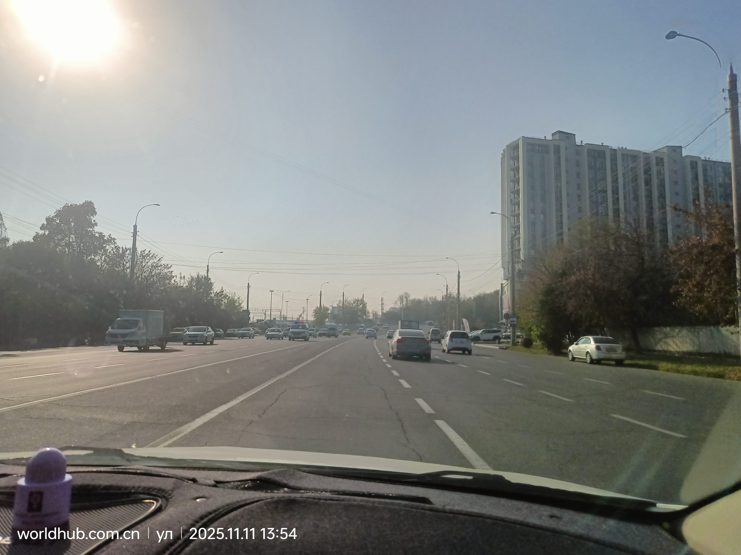 Tashkent First Trip: The Quest for Green Leaf