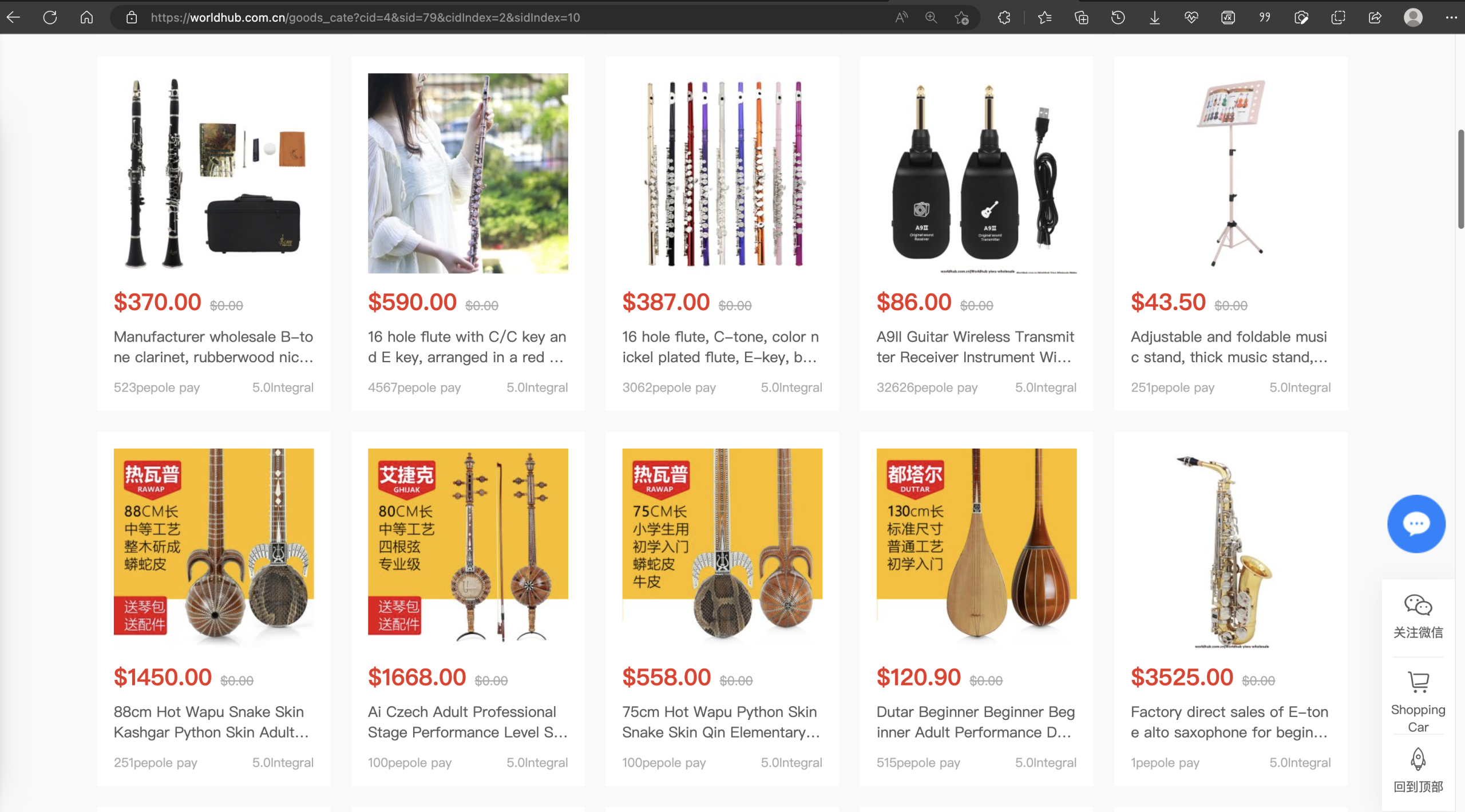 Worldhub B2C Platform: Professional Musical Instruments Wholesale Solution